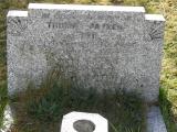 image of grave number 303469